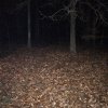 2020 - 2020-Winter Campout